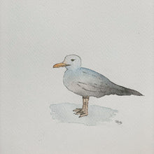 Cargar imagen en el visor de la galería, Gaviota - Animal. Acuarela original